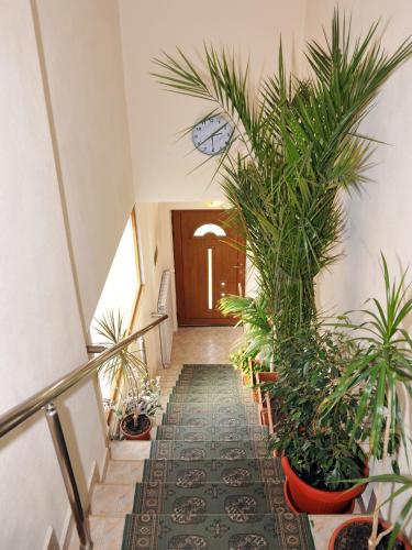 a hallway with potted plants in front of a door at Guesthouse Elizabeth in Samokov