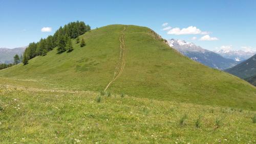 a grassy hill with a dirt road on it at Aiguille Noire in Valloire
