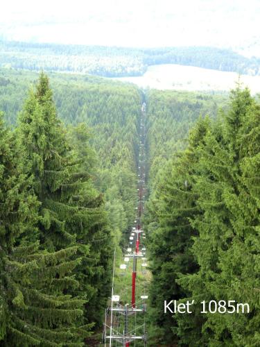 a line of trees in the middle of a forest at Villa- Caba in Křemže
