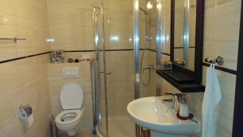 a bathroom with a toilet and a sink and a shower at Apartament Urocza in Szklarska Poręba
