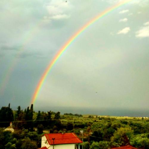Φυσικό τοπίο κοντά σε αυτό το διαμέρισμα