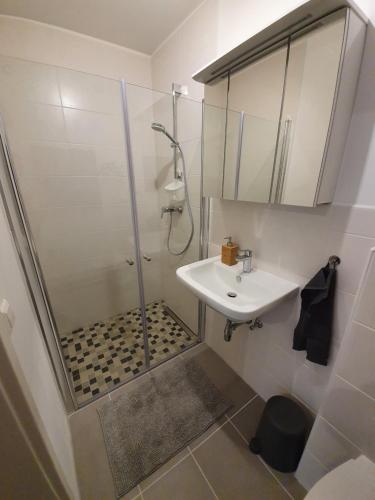 a bathroom with a shower and a sink at Ferienwohnung Kleine Südpfalz in Zeiskam