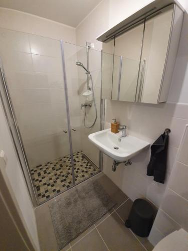 Ένα μπάνιο στο Ferienwohnung Kleine Südpfalz