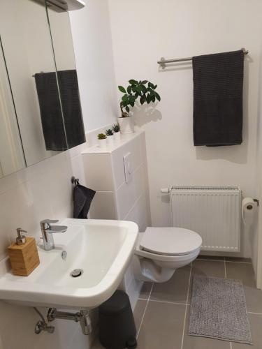 Ένα μπάνιο στο Ferienwohnung Kleine Südpfalz