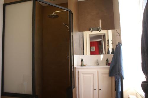 a bathroom with a shower and a sink and a mirror at B&B Vassy Etaule in Avallon