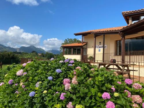Pemandangan gunung umum atau pemandangan gunung yang diambil dari hotel