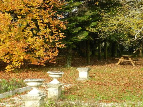 due vasi di cemento seduti sull'erba in un parco di les chambres du parc a Dammarie-sur-Saulx