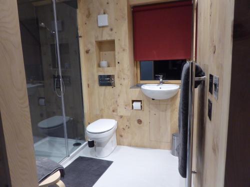 a bathroom with a toilet and a sink and a shower at The Tin Church in Port na Long