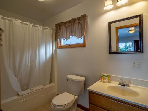 a bathroom with a toilet and a sink and a mirror at Lake 'N Pines Motel in Cooperstown