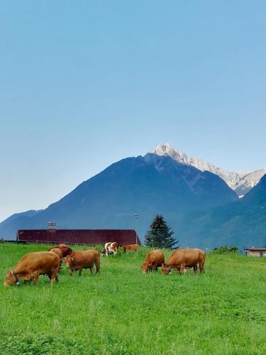 Paysage naturel près de l'appartement