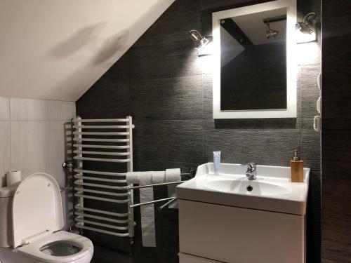 een badkamer met een wastafel, een toilet en een spiegel bij Leśna Willa in Kowalewo