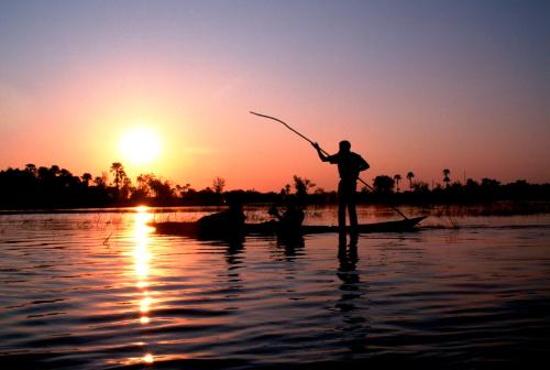 Huéspedes de Divava Okavango Resort & Spa