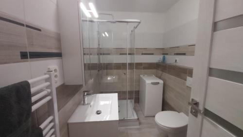 ein Bad mit einer Dusche, einem WC und einem Waschbecken in der Unterkunft Apartmán CENTRAL in Banská Bystrica