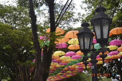 a bunch of colorful umbrellas hanging from trees at Apto Top Centrum Holambra/excelente localização in Holambra