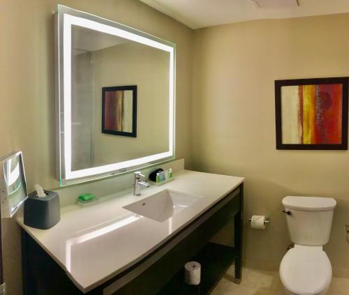 La salle de bains est pourvue d'un lavabo, d'un miroir et de toilettes. dans l'établissement Holiday Inn Chicago Schaumburg, an IHG Hotel, à Schaumburg