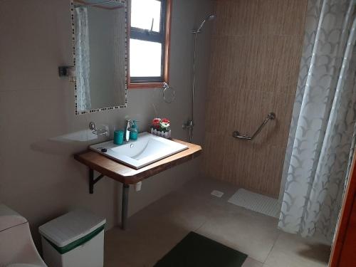 a bathroom with a sink and a shower at Cabañas Costanera in Villarrica