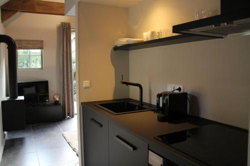 A kitchen or kitchenette at Vlindervallei 2p