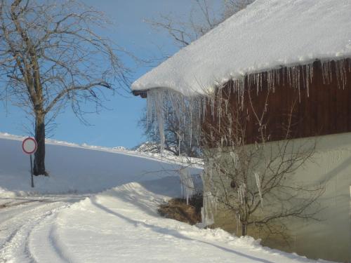 a house with icicles on the side of it in the snow at Familienbauernhof Christa in Rossleithen