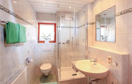 a bathroom with a sink and a shower and a toilet at Amazing Apartment In Kirchberg With 2 Bedrooms And Wifi in Kirchberg in Tirol