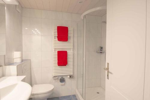 W łazience znajduje się toaleta, prysznic i czerwone ręczniki. w obiekcie Baldrian C14 w mieście Adelboden