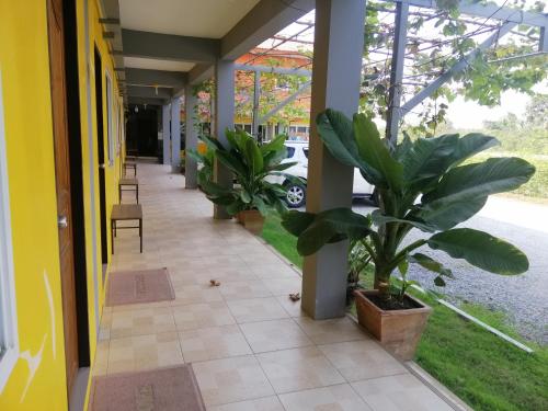 a hallway with potted plants in a building at เพลินเพลิน​ วิลล่า in Sattahip