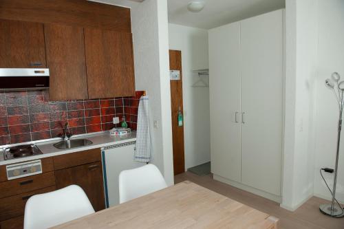 Kuchyň nebo kuchyňský kout v ubytování Hotel Sporting