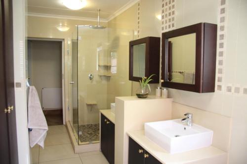 a bathroom with a sink and a shower at African BnB - The Boutique Experience in Benoni