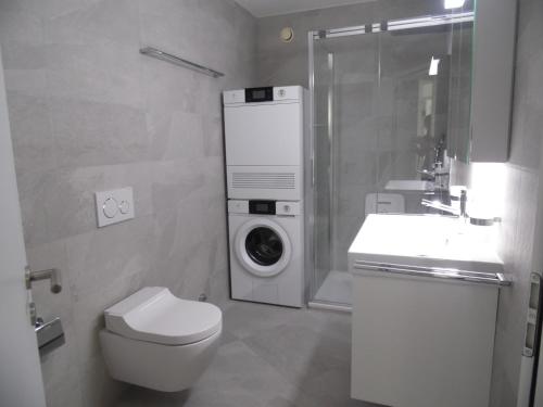 ein Badezimmer mit einem WC und einer Waschmaschine in der Unterkunft Brissago in Brissago