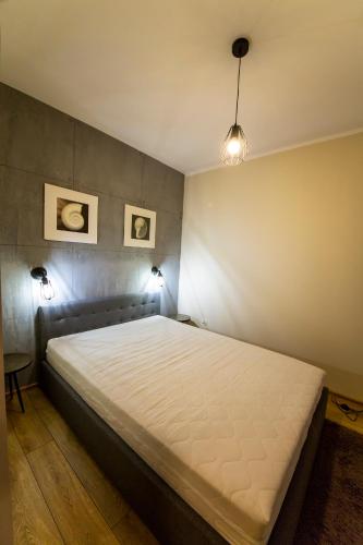 a large bed in a room with two pictures on the wall at Wyspa Uznam - Apartamenty Zdrojowa in Świnoujście