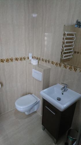 a bathroom with a toilet and a sink at Izerski Relaks in Świeradów-Zdrój