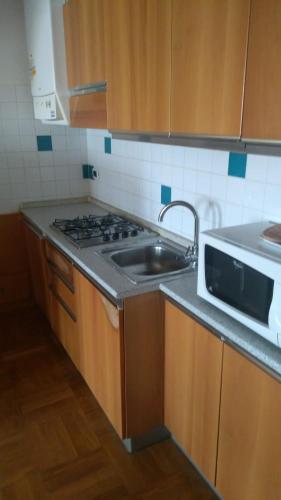 a kitchen with a stove and a sink and a microwave at Residence Al Granzo in Trieste