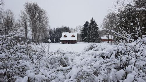 a snow covered yard with a house in the background at Dom w krainie Bugu in Korczew