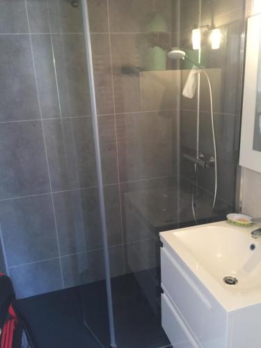 une salle de bain avec douche et lavabo dans l'établissement résidence campbielh 1, à Aragnouet
