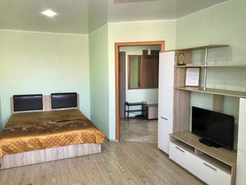 TuymazyにあるApartment on Chapaieva 61Bのベッドルーム(ベッド1台、薄型テレビ付)