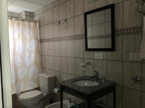 a bathroom with a toilet and a sink and a mirror at Del Sur Aparts in El Calafate