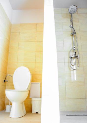 a bathroom with a toilet and a shower at Sweety-Apartman in Mátészalka
