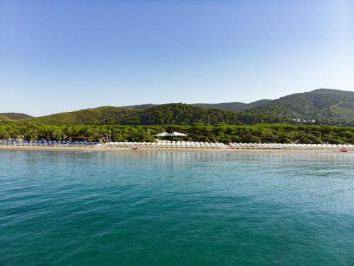 a beach with white umbrellas and the ocean at Riva Del Sole Resort & SPA in Castiglione della Pescaia