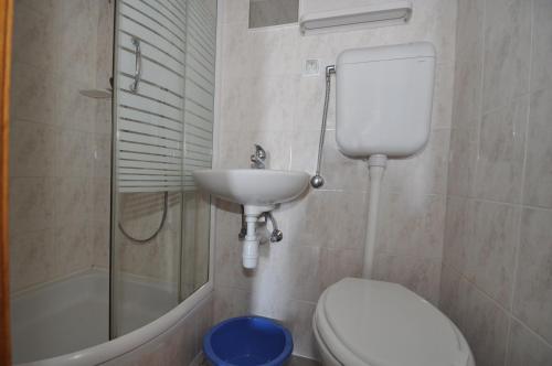 Koupelna v ubytování Apartments Davor Ceko