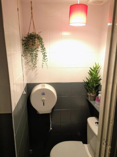 a bathroom with a toilet and a plant on the wall at aabAlree Guest House in Dundee