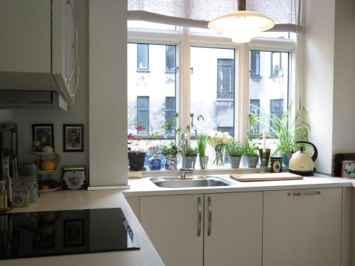 コペンハーゲンにあるApartmentInCopenhagen Apartment 933のキッチン(シンク付)、植物の窓