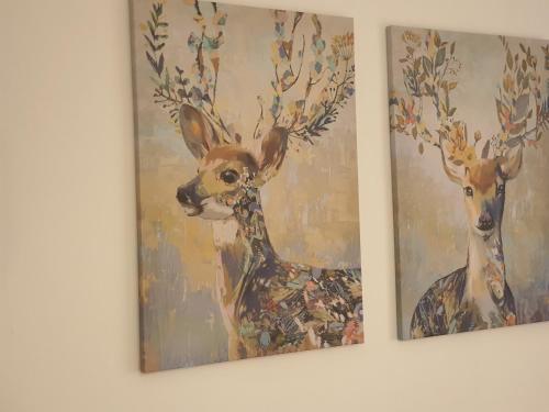 a couple of paintings of deer on a wall at CASA DE SILVA in Valladolid