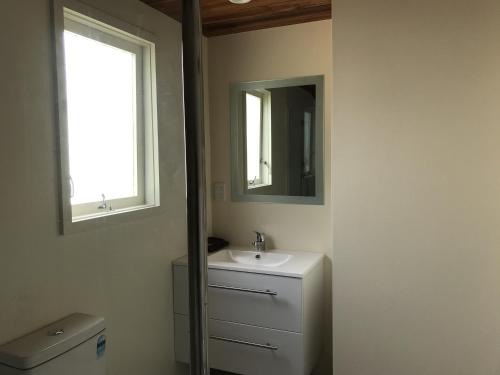 a bathroom with a sink and a mirror at Vineyard Cottage in Blenheim on the Golden Mile in Blenheim