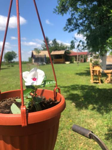 Un jardín fuera de Salaš Gnijezdo