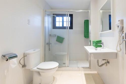 卡门港Apartamentos Flamingo的带淋浴、卫生间和盥洗盆的白色浴室
