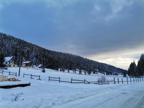 a snow covered field with a fence and a road at Vila Tijana in Mitrovac