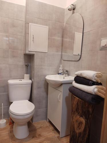Kúpeľňa v ubytovaní Apartament - Zielone Podlasie
