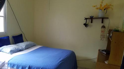 a bedroom with a bed and a window at Blue Lady Rooms B&B in Jarabacoa