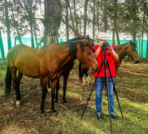 a man taking a picture of two horses at La Isabela Estancia Ecuestre in Tabio