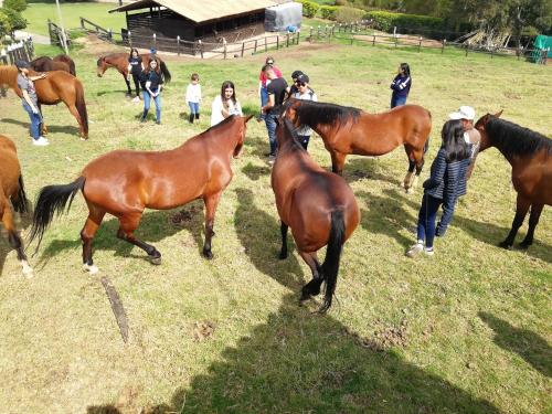 a group of people standing around horses in a field at La Isabela Estancia Ecuestre in Tabio