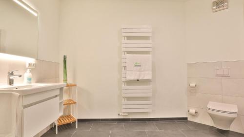a bathroom with a sink and a toilet and a mirror at Strandhaus Zingst Apartment 15 in Zingst